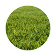 Load image into Gallery viewer, SEED COUCH GREEN (BERMUDA) PER KG