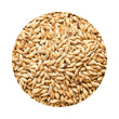 Load image into Gallery viewer, BARLEY WHOLE 20KG (M7)
