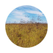 Load image into Gallery viewer, SEED BISSET BLUE GRASS PER KG