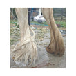 Load image into Gallery viewer, DR. SHOW ALL IN ONE CONDITIONING SHAMPOO 4 LITRES