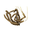 Load image into Gallery viewer, BIRD MILLET SPRAY 200g