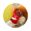 Load image into Gallery viewer, DRINKER CHOOK TOWER