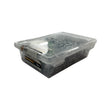Load image into Gallery viewer, STAPLES WIRE 25 X 3.15MM 3KG