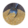 Load image into Gallery viewer, CORN WHOLE MAIZE 20KG (M3)