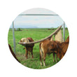 Load image into Gallery viewer, BACK RUBBER SELF FEEDER 2M CLAMPS & TAP