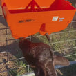 Load and play video in Gallery viewer, CALF FEEDER DOUBLE 2 PLACE RAIL-HANG 212 216