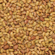 Load image into Gallery viewer, SEED LUCERNE FORCE 7.2 FIELD FORCE PLUS PER KG