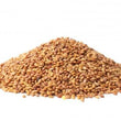 Load image into Gallery viewer, SEED LUCERNE FORCE 7.2 FIELD FORCE PLUS PER KG