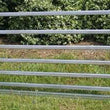 Load image into Gallery viewer, YARD PANEL SWING GATE****SHEEP GUO****60 X 30 X 6 OVAL RAIL