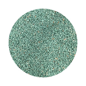 SEED COUCH GREEN (BERMUDA) PER KG