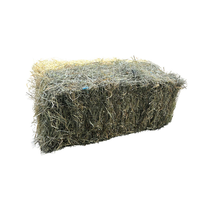 RHODES GRASS HAY BALE 