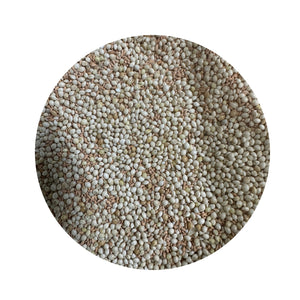 SEED COUCH LAWNMAXX COUCH/MILLET MIX 25KG