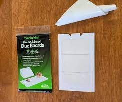 GLUEBOARDS FOR MICE/RATS 10PK PESKY