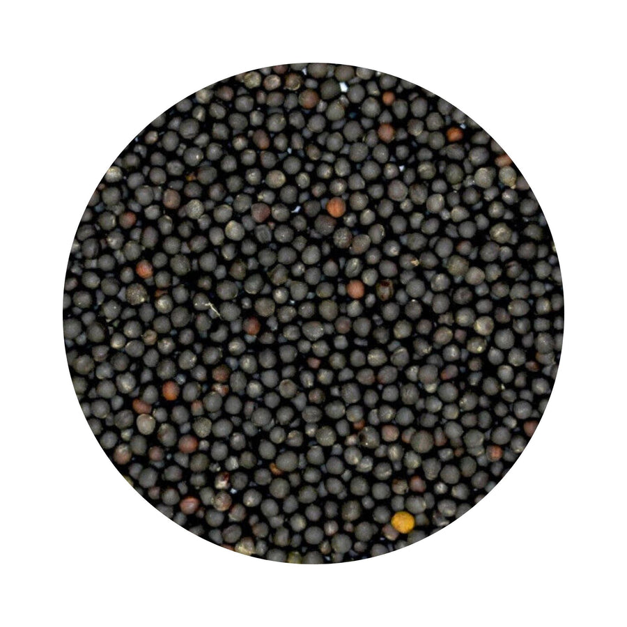 CANOLA SEED (BIRD SEED) 20KG (D1)