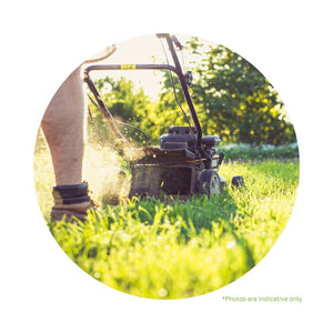 LAWN MOWER SECONDHAND NO CATCHER (NO WARRANTY)