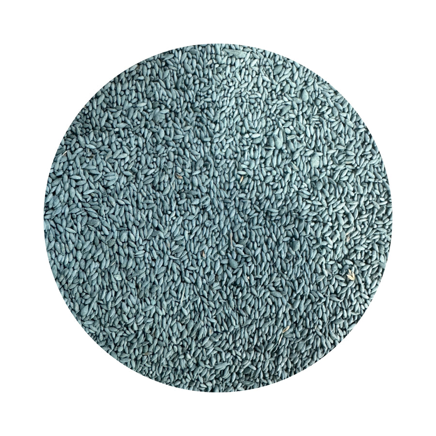 SEED COUCH QLD BLUE COUCH PER KG