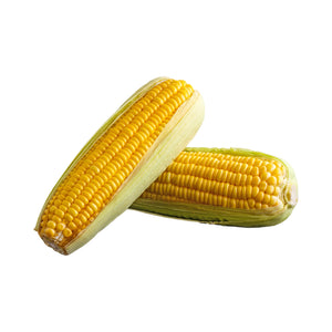 SEED SWEET CORN H5 PER 100 GRAMS