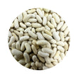 Load image into Gallery viewer, SEED BEAN JACKSON STRINGLESS PER 100 GRAMS
