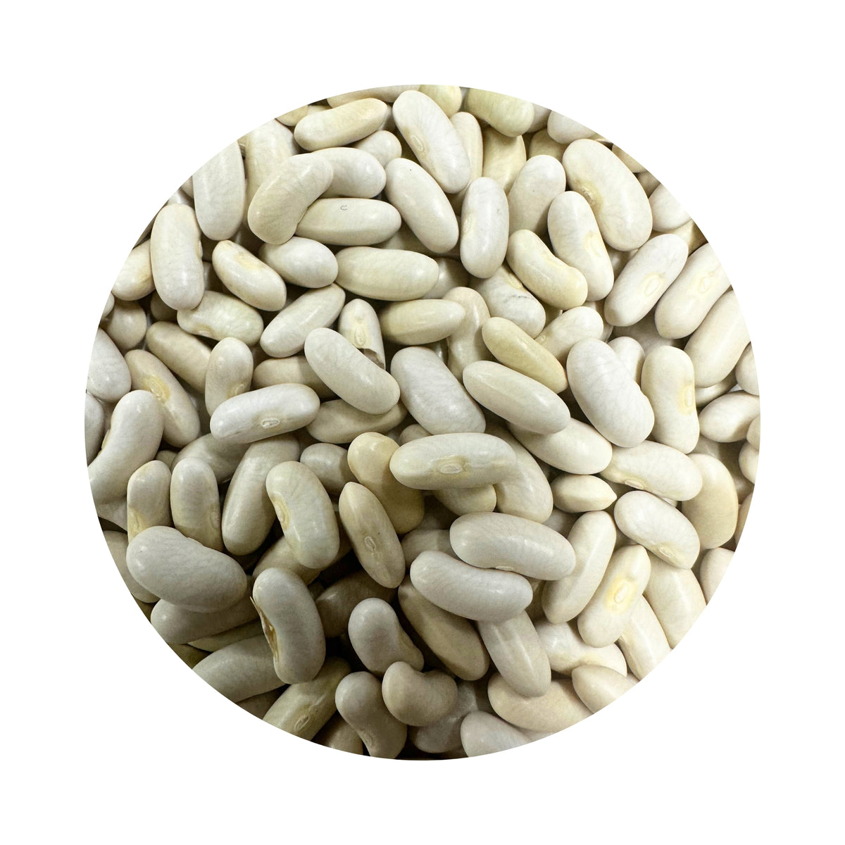 Simba Hybrid Bean Seeds - 100 Grams – Northside Produce Agency