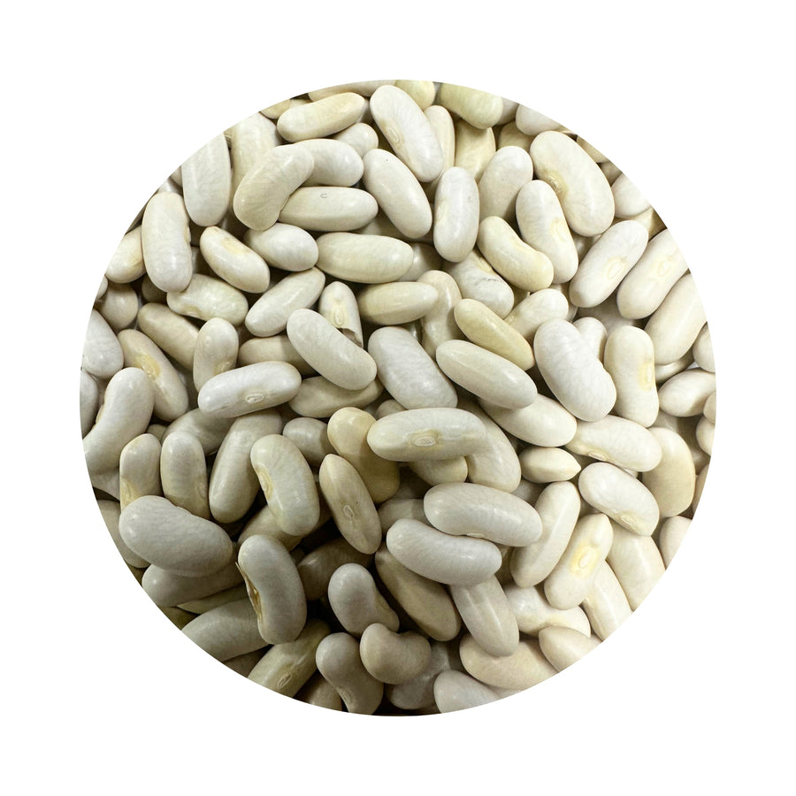 Simba Hybrid Bean Seeds - 100 Grams – Northside Produce Agency