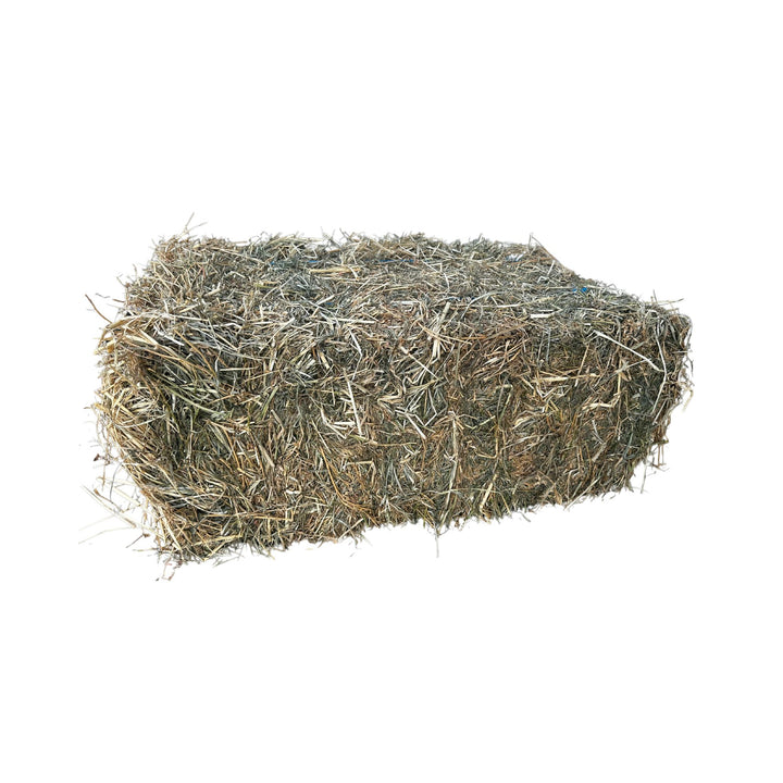 LUCERNE HAY BALE GRASSY GRADE ($22)