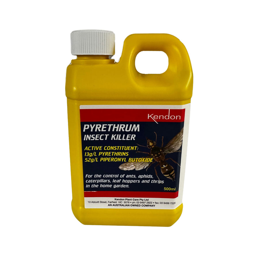 PYRETHRUM INSECT KILLER 500ML KENDON