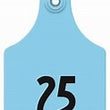 Load image into Gallery viewer, EAR TAG MAXI FEMALE BLUE (2PMX11) 
