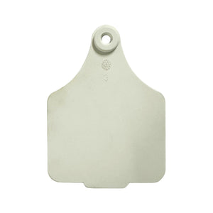 EAR TAG MAXI FEMALE WHITE