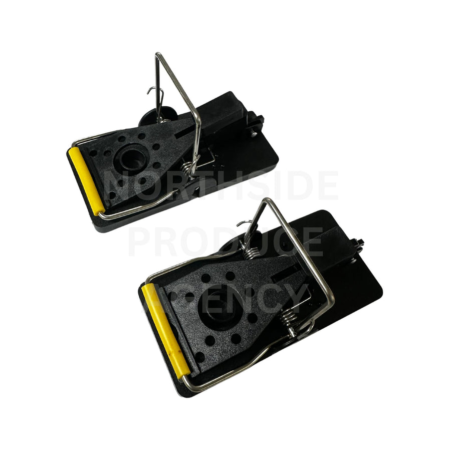 MOUSE TRAP (TWIN PACK) PESKY