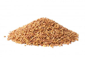SEED LUCERNE FORCE 7.2 FIELD FORCE PLUS PER KG
