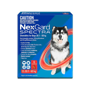 NEXGARD SPECTRA CHEW 30.1-60KG 6 PACK