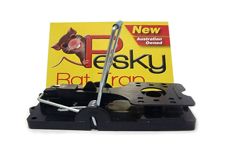 MOUSE TRAP (TWIN PACK) PESKY