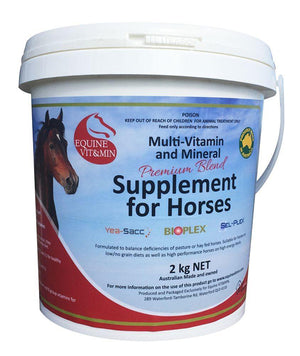 PREMIUM BLEND EQUINE VIT&MIN 20KG